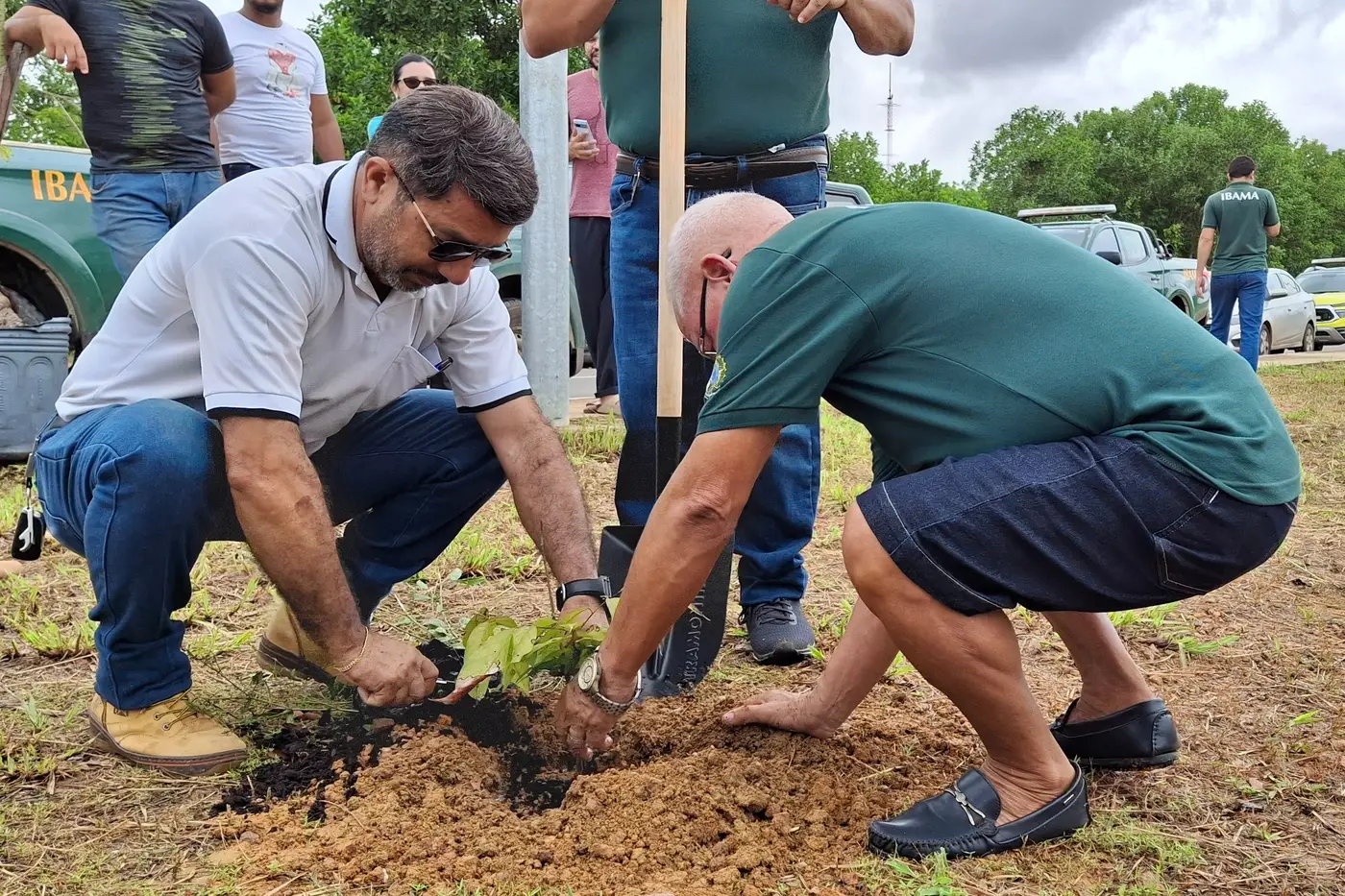 Redação
