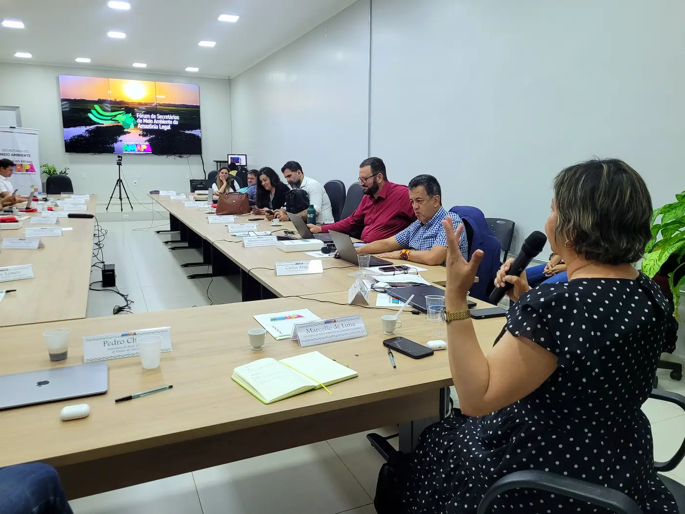 Fórum de Secretários de Meio Ambiente da Amazônia Legal - 3°dia Revisão da Carta