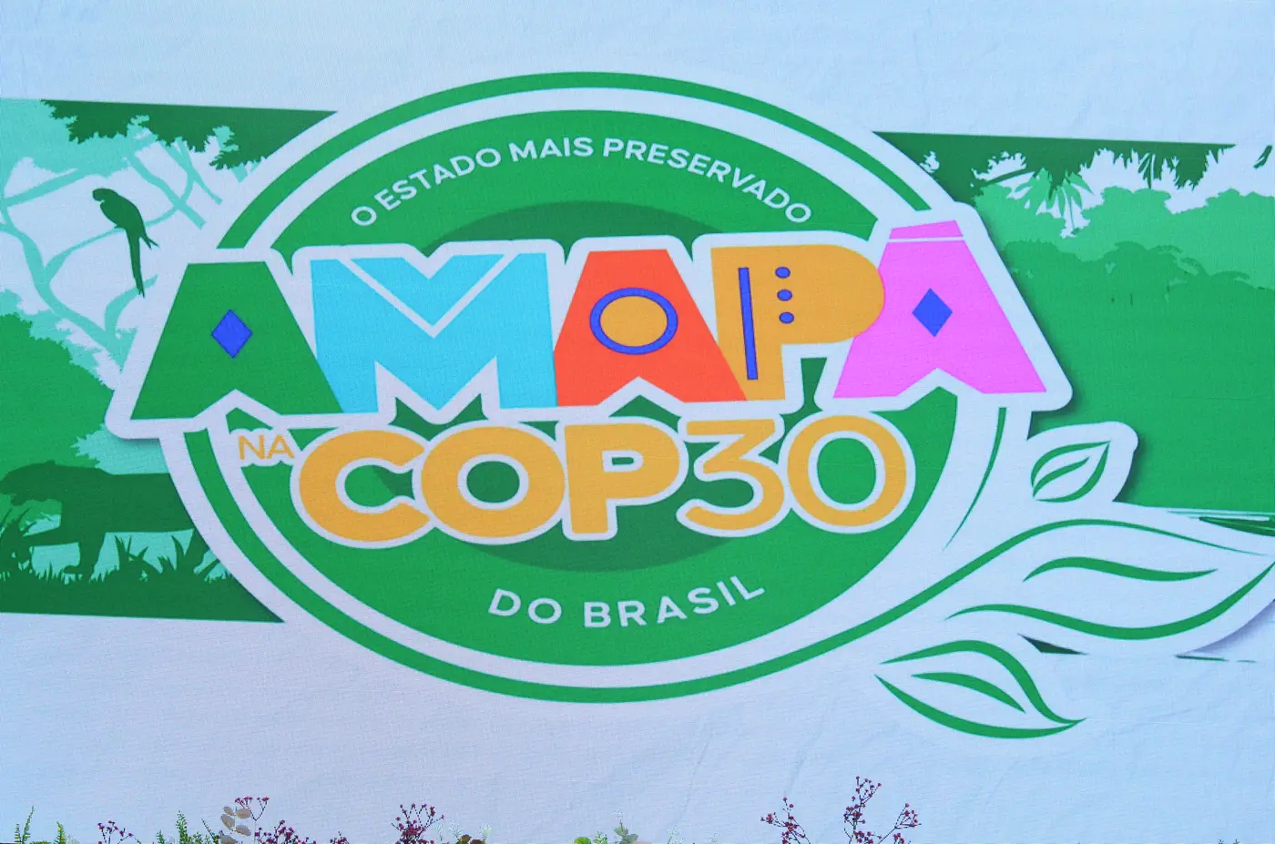 Maksuel Martins