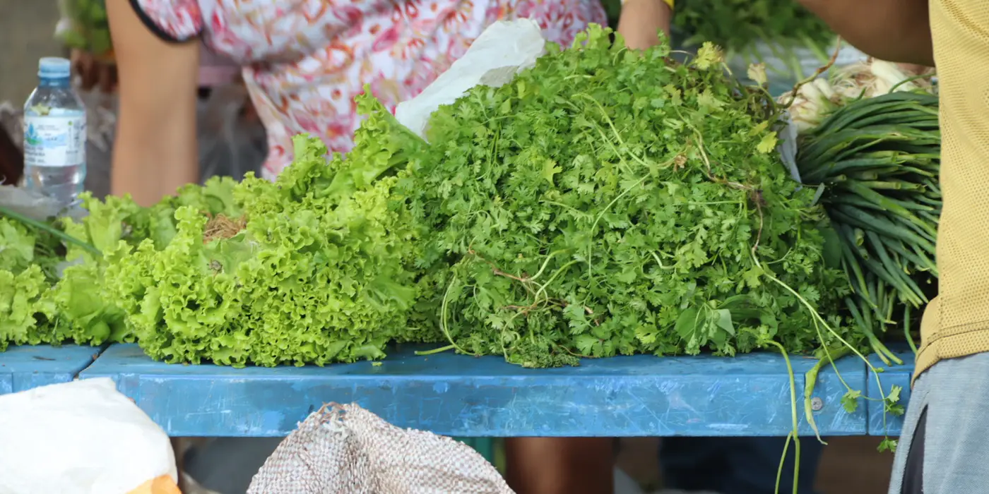 Governo do Amapá atende 740 Famílias nos Residenciais Nelson dos Anjos e Açucena - Entrega de Alimentos Verde