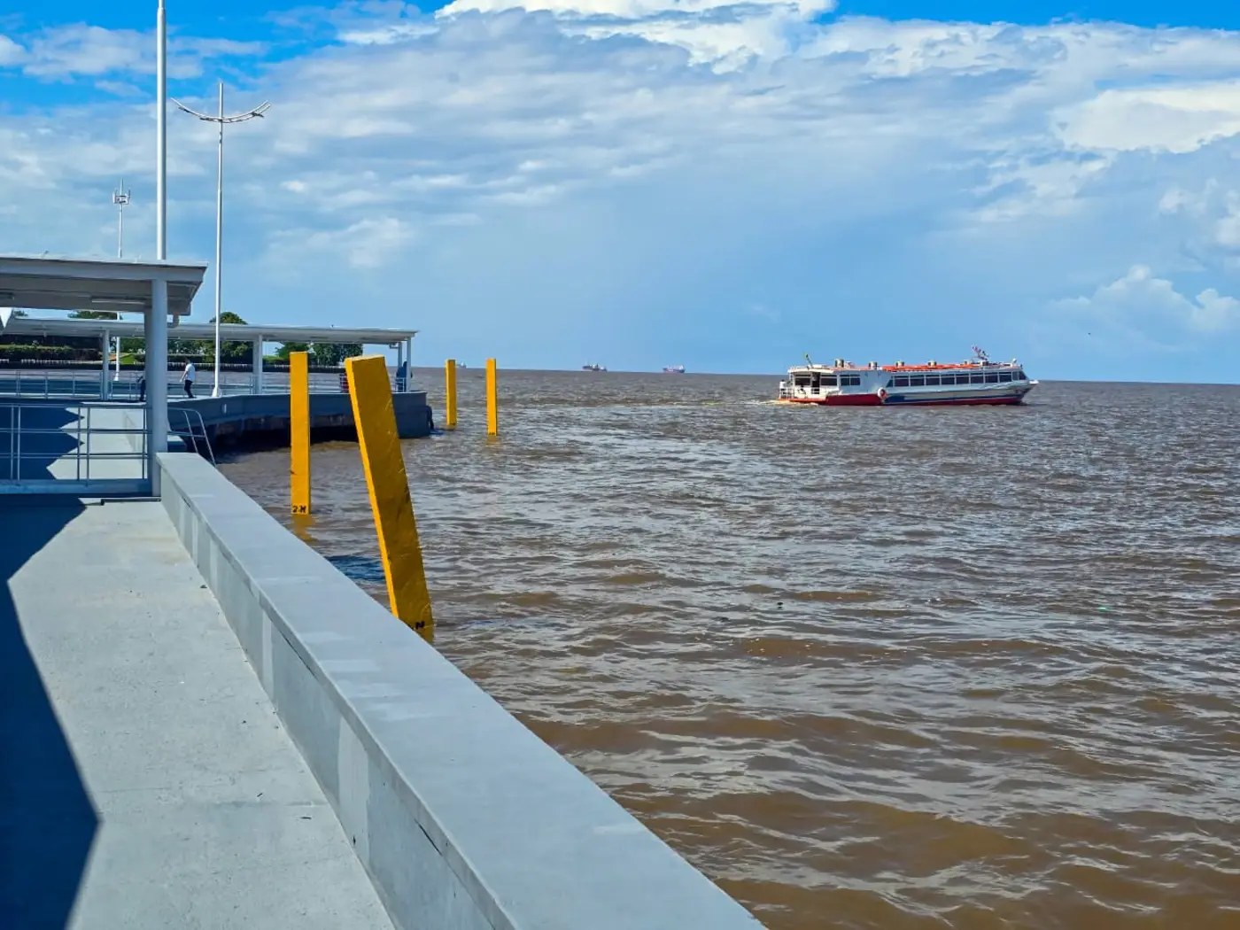 Max Renê