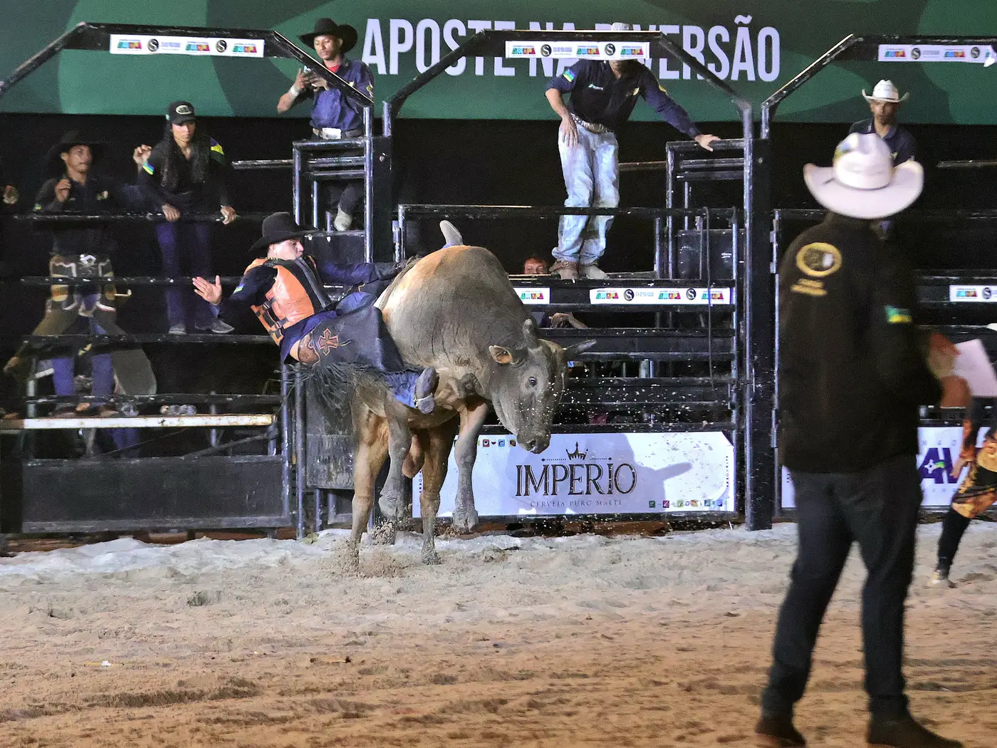 Jorge Júnior