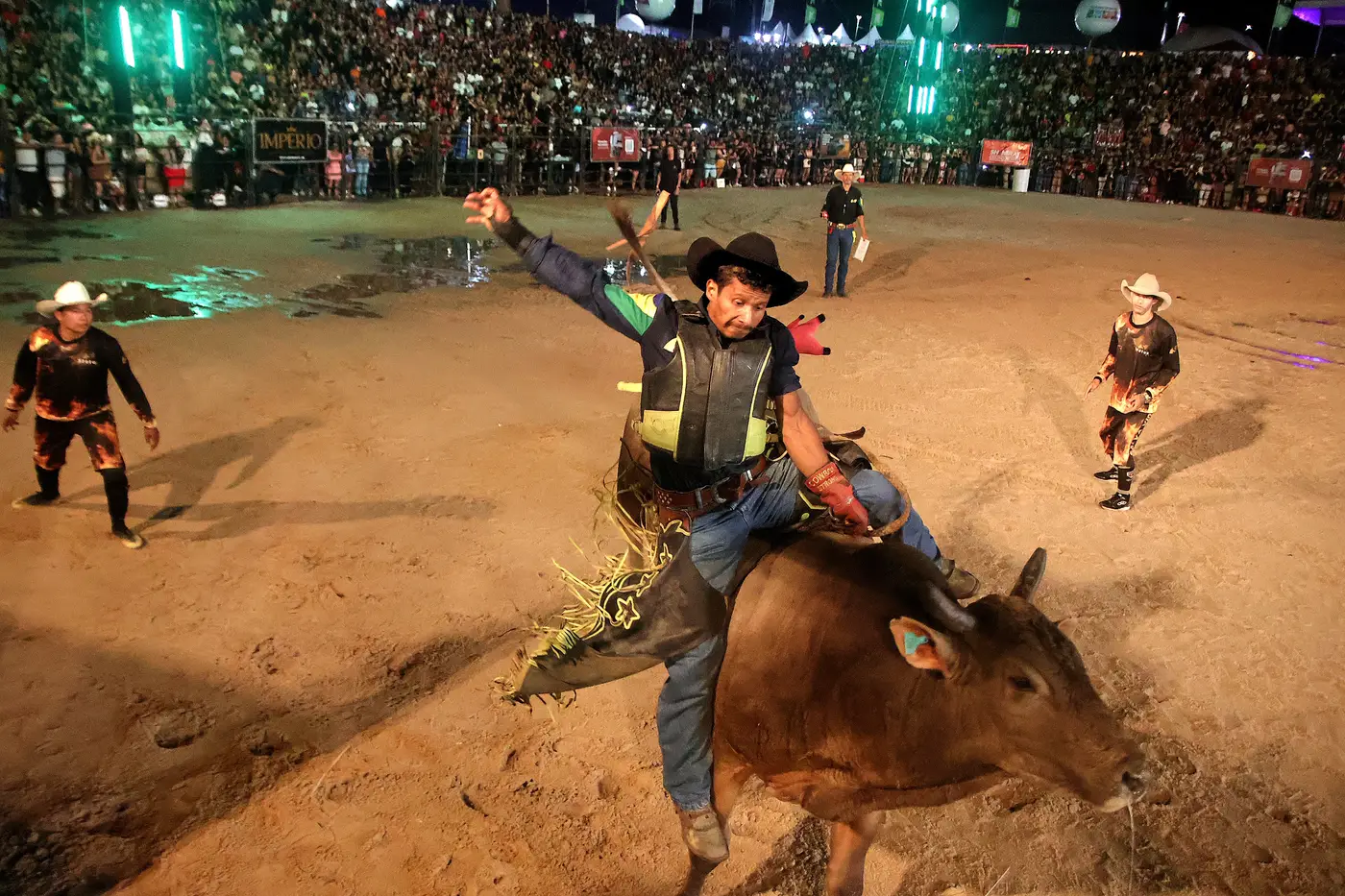 Jorge Júnior