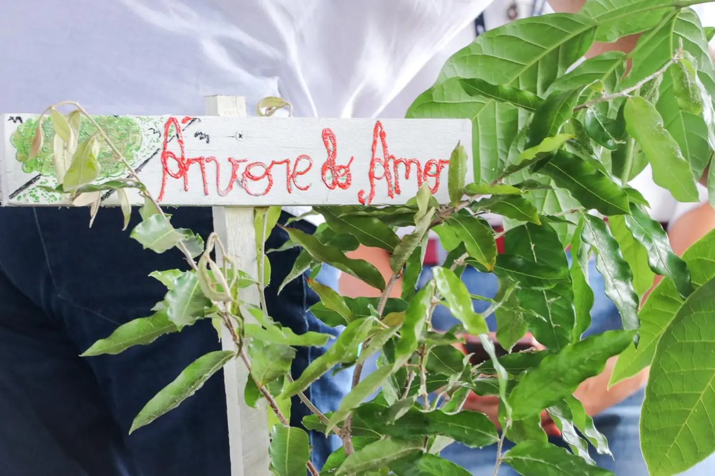Lançamento do Grupo de Trabalho para Elaboração do Plano Estadual de Arborização Urbana