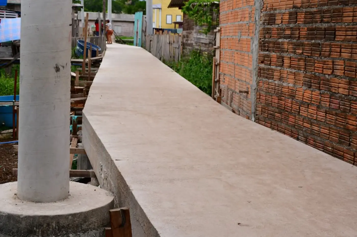 Max Renê