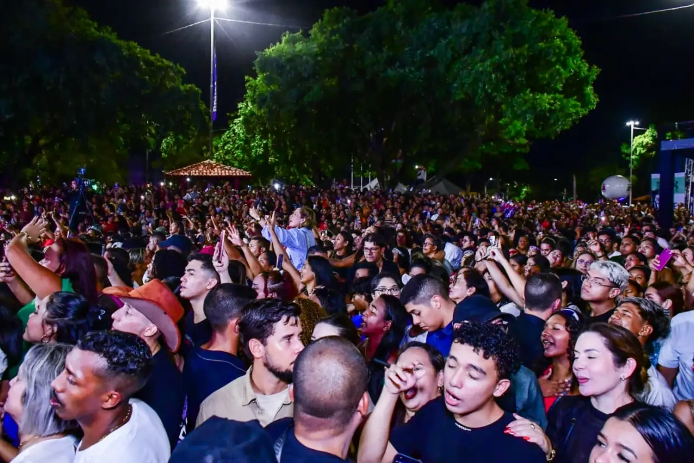 Max Renê