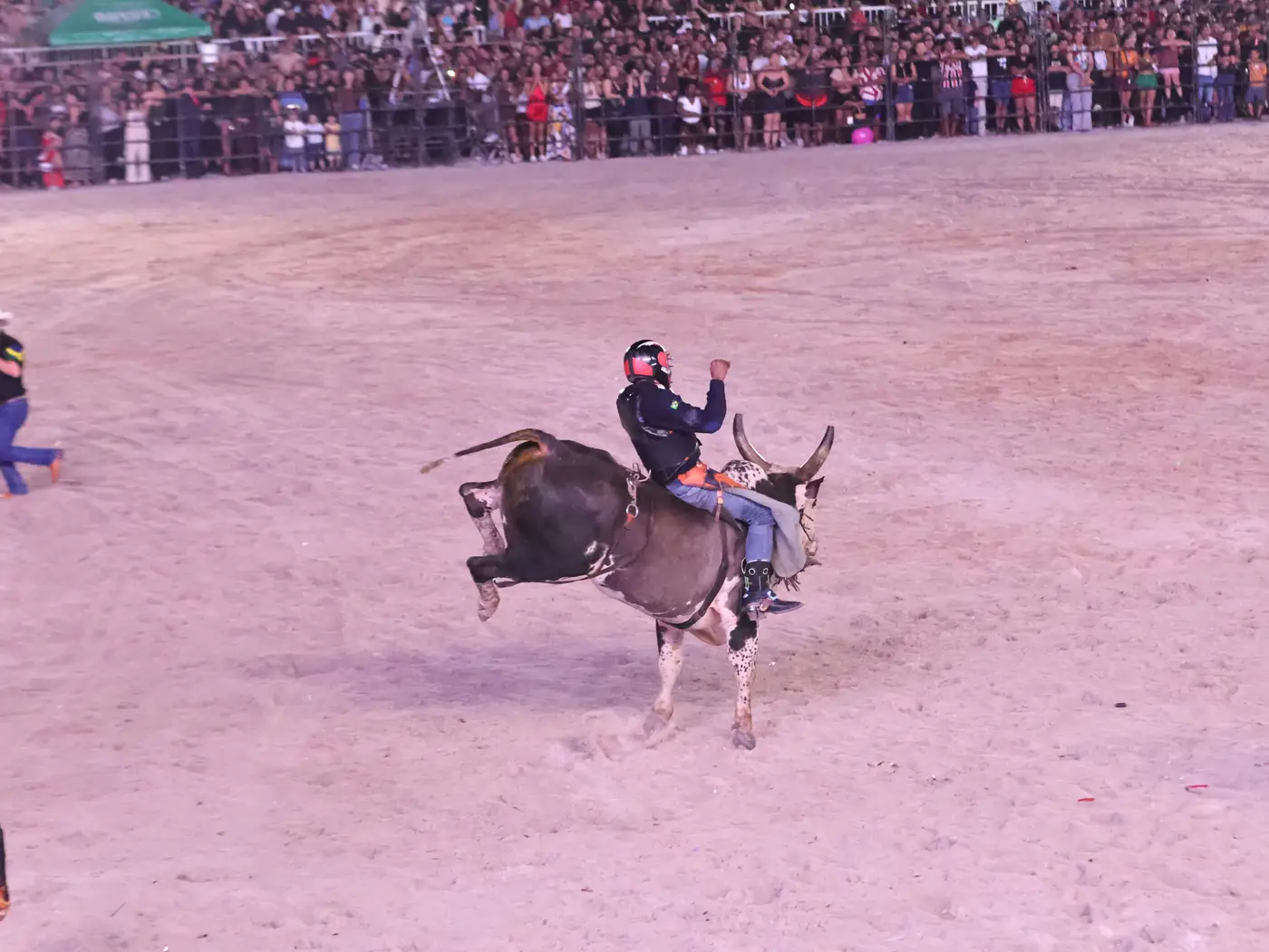Jorge Júnior