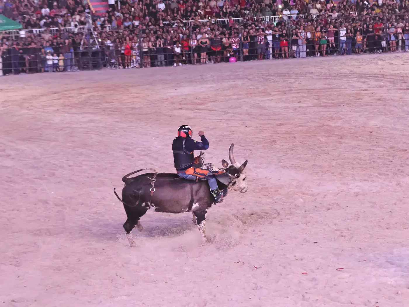 Jorge Júnior