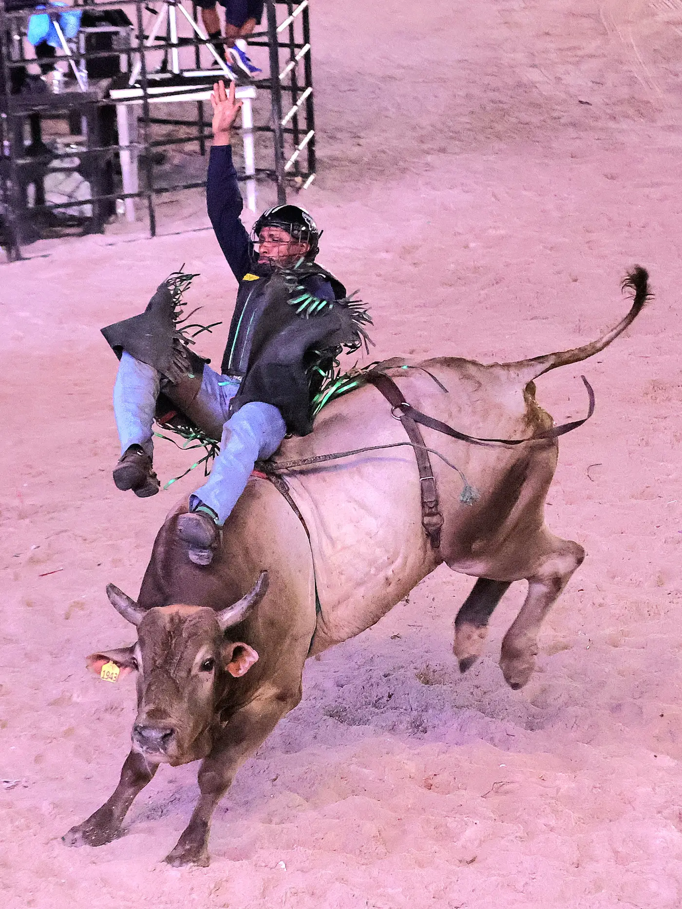 Jorge Júnior