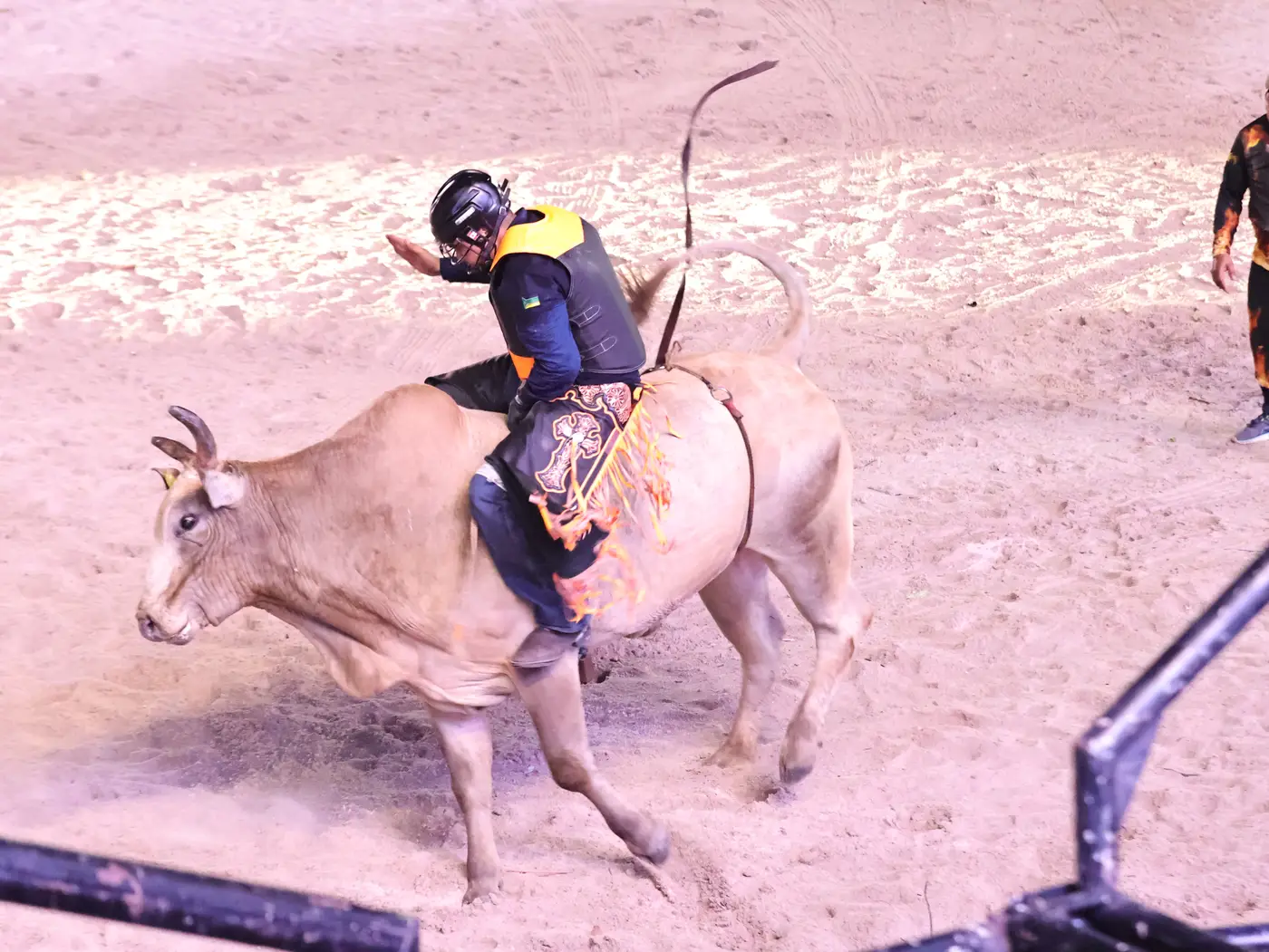 Jorge Júnior