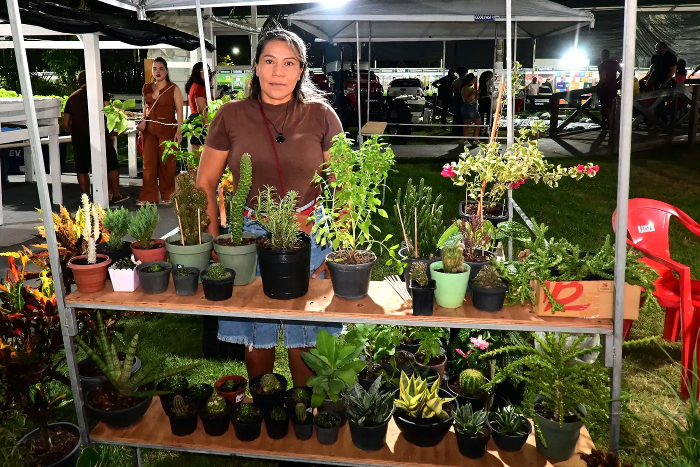 Expofeira 2026 - Plantas Medicinais
