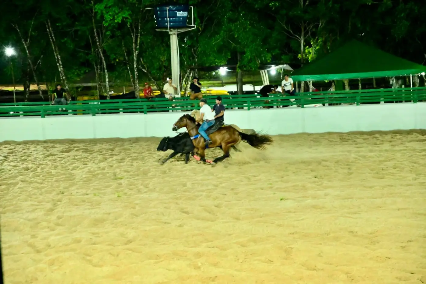 Gabriel Maciel