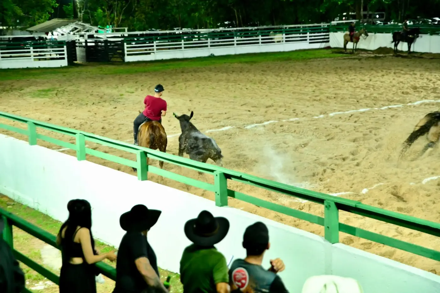 Gabriel Maciel