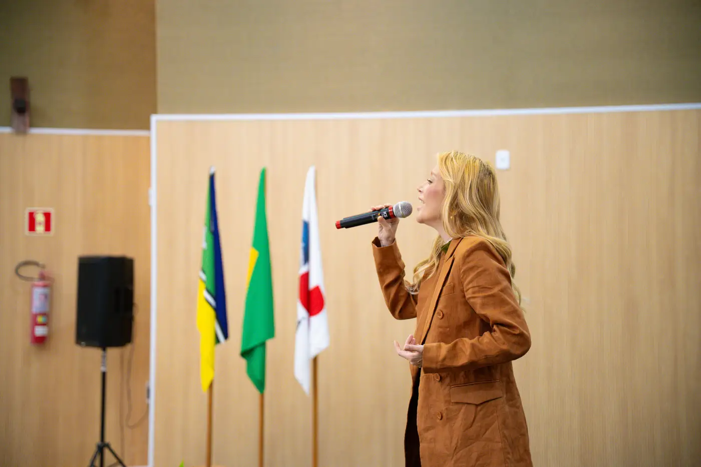 Luiz Santana