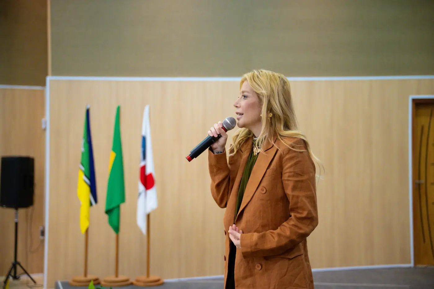 Luiz Santana