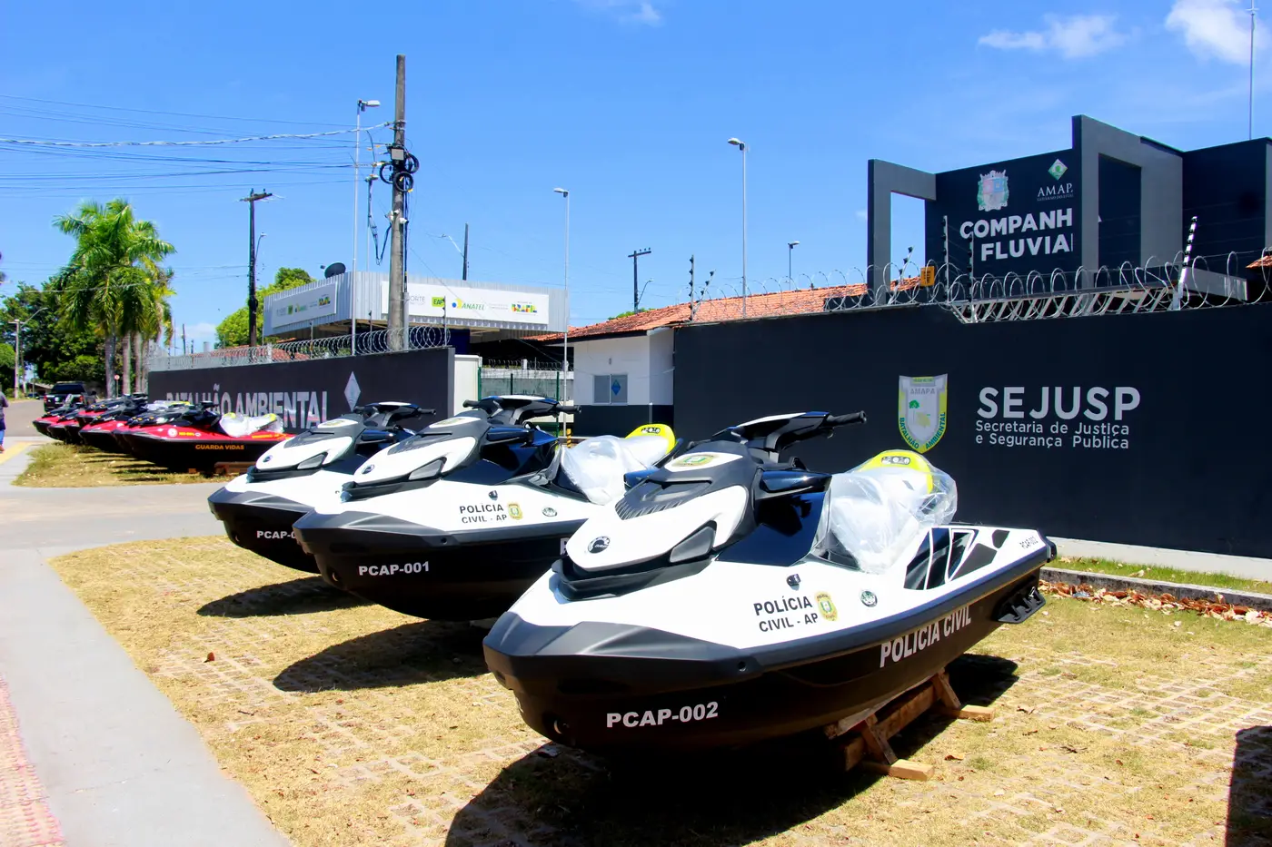 Márcia do Carmo
