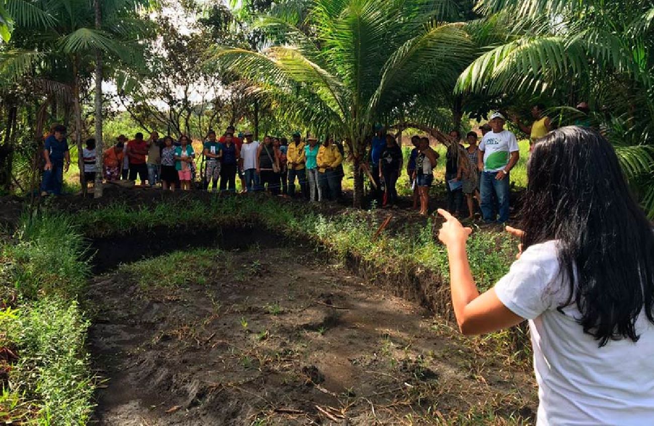 Produtores aprendem o manejo da piscicultura, escolha do local, planejamento da produção, qualidade da água, nutrição e manejo alimentar