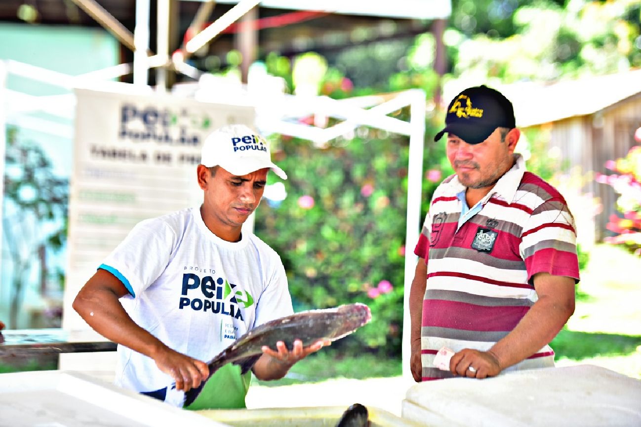 O local do posto de venda fica localizado próximo da entrada da vila proporcionando o acesso para quem desejar visitar o stand de venda.