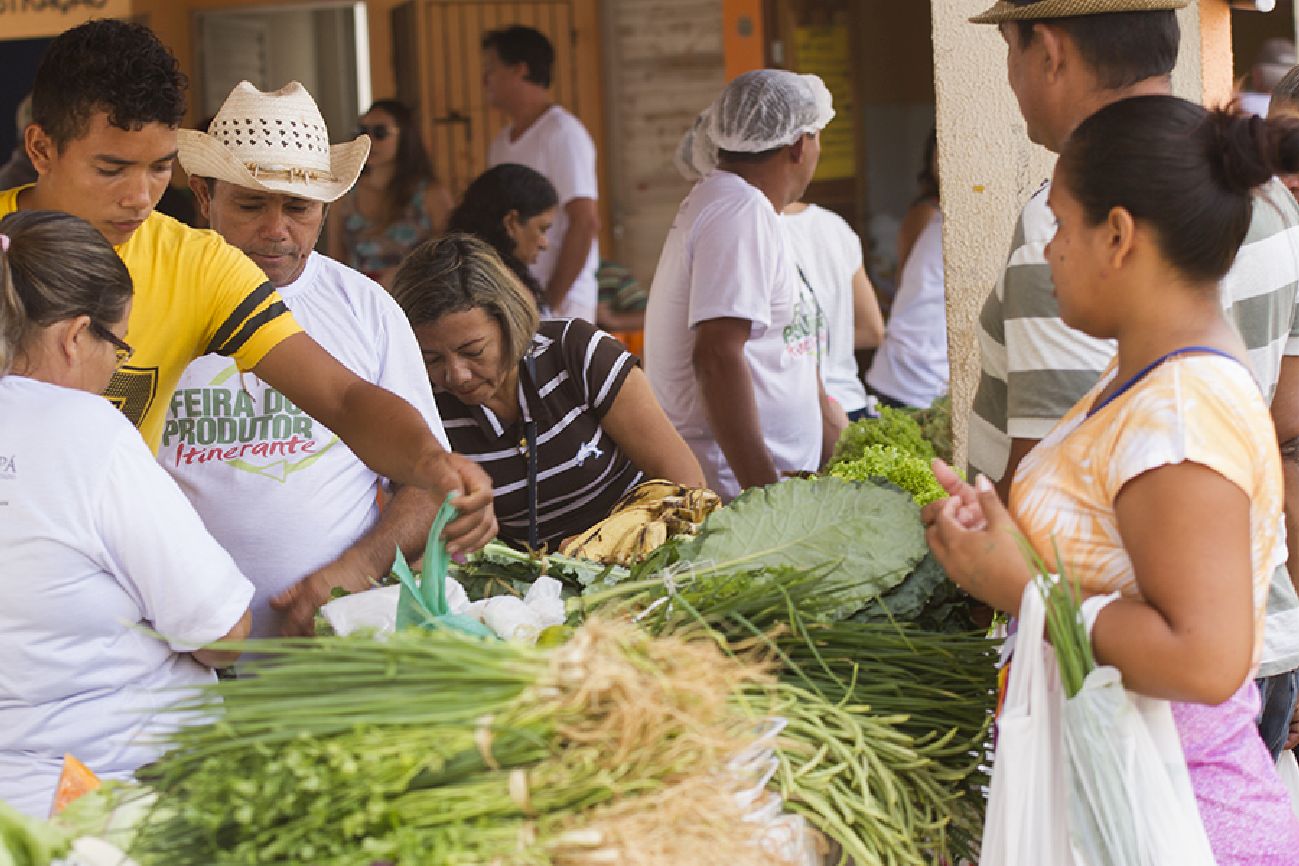 Agricultores familiares poderão melhorar a produção em todo o estado