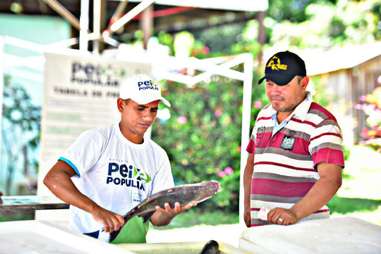 Programa oferece pescado a baixo preço à população e incentiva a produção local