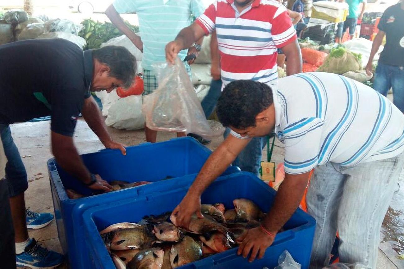 Pescado está entre os produtos mais adquiridos pelo Programa de Aquisição de Alimentos (PAA)