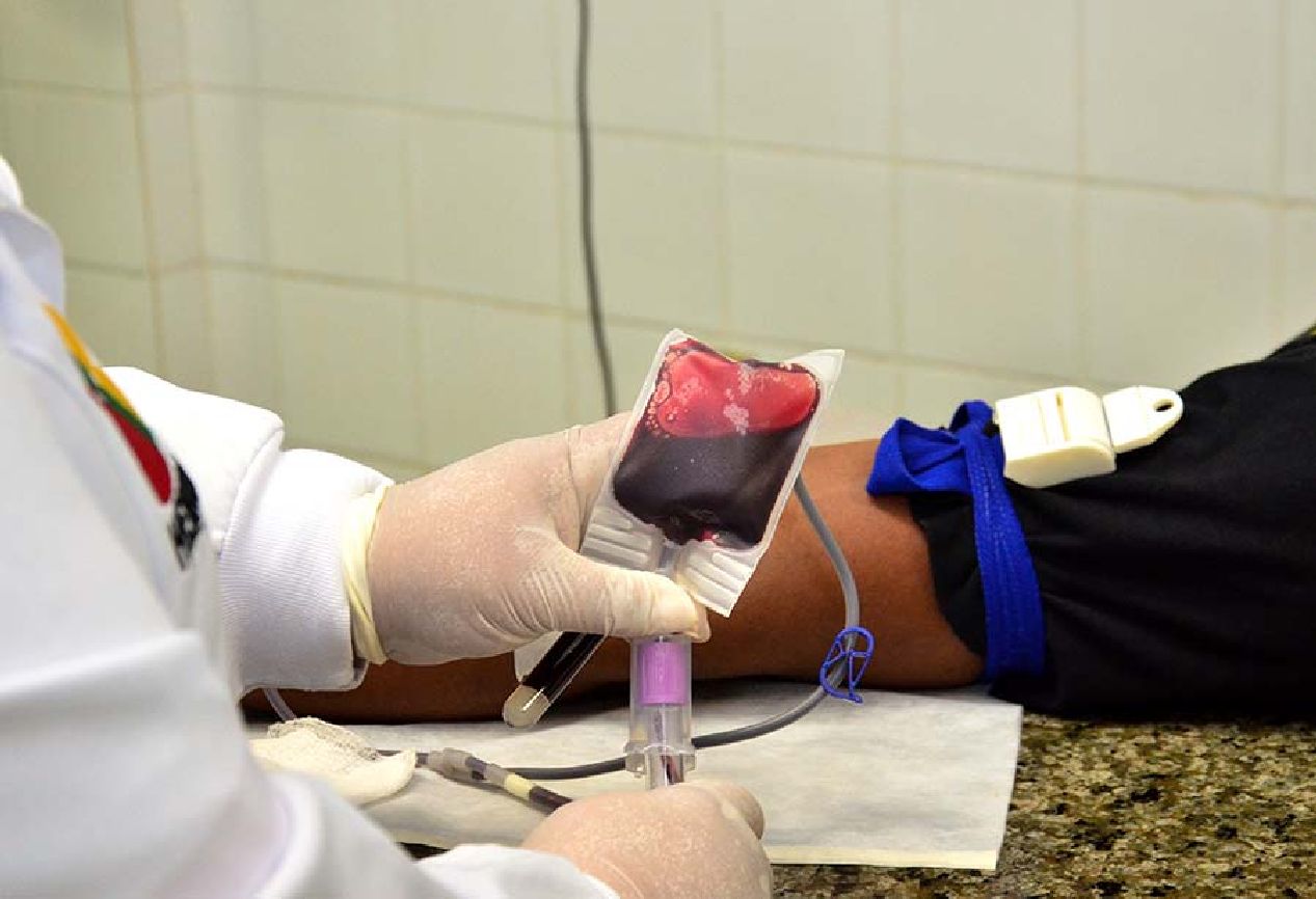 Em média, são realizadas 70 doações de sangue por dia no Hemoap
