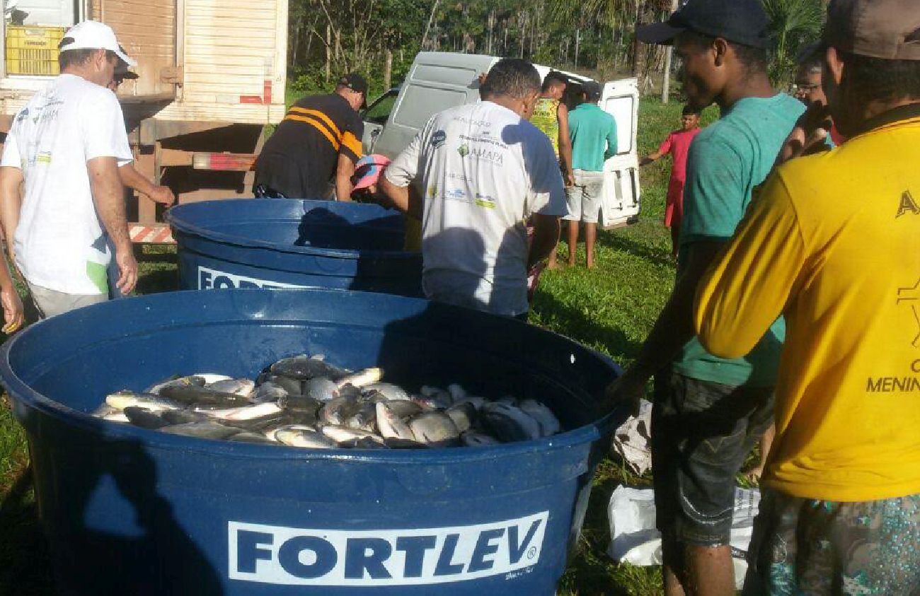 Aquicultores do município de Porto Grande e do distrito de Ressaca da Pedreira foram atendidos nessa ação da Pescap