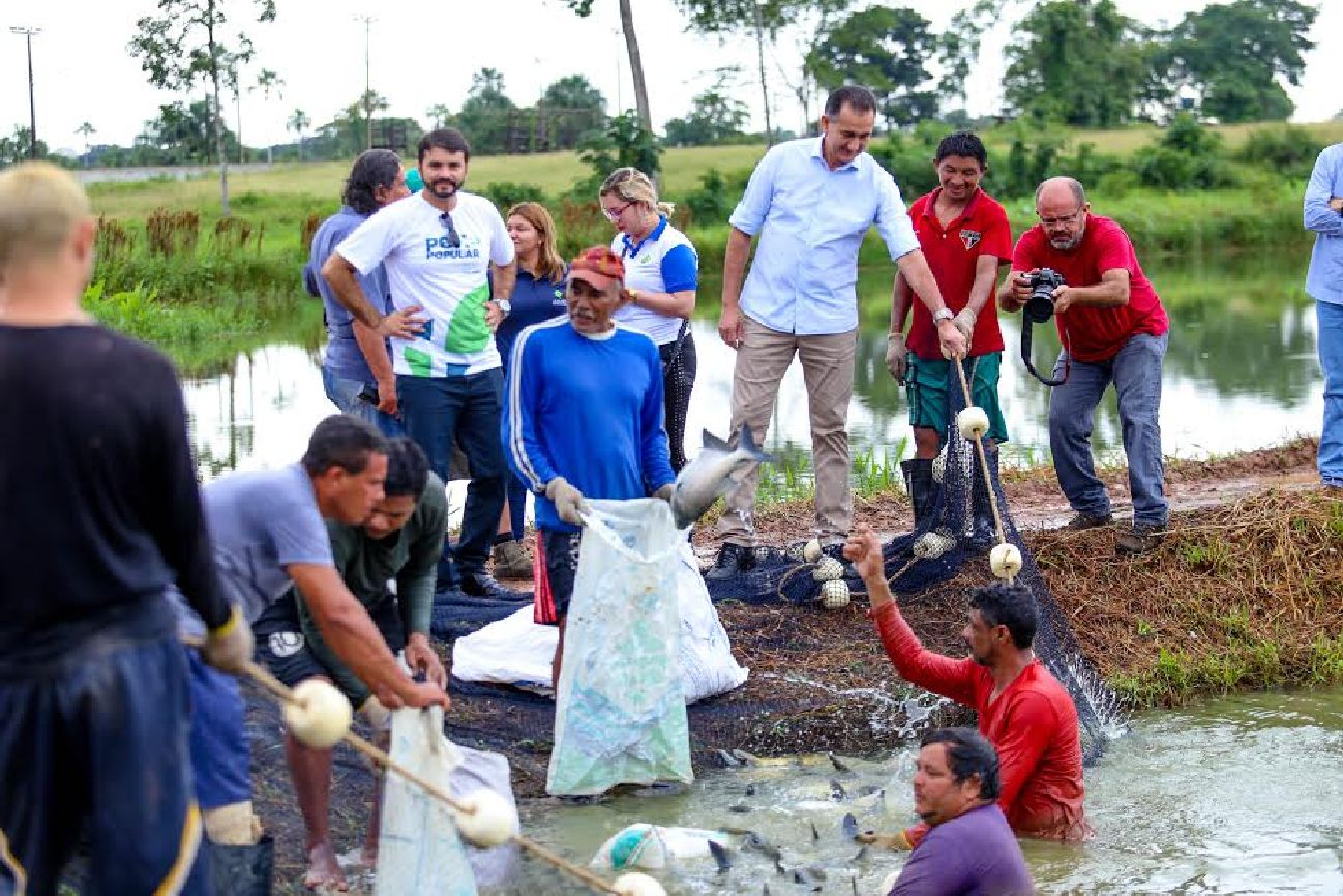 Governador Waldez Góes acompanhou a despesca de espécies em chácara no distrito de Fazendinha, nesta quinta-feira, 13.