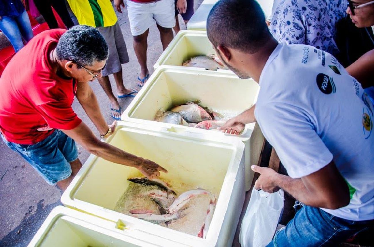 Pescadores atentos ao desejo dos consumidores alavancam as vendas com a oferta de mais de 15 espécies.