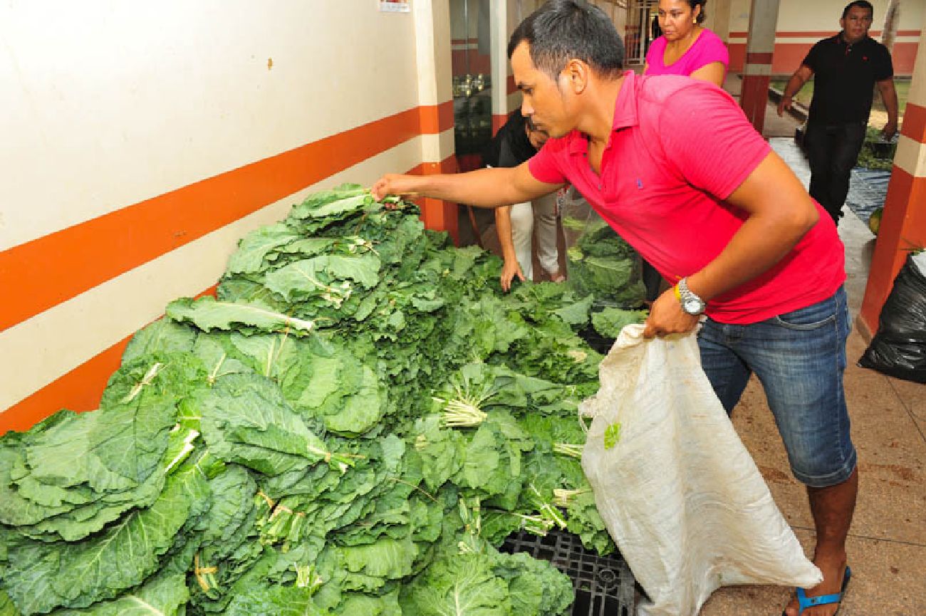 Produtos adquiridos direto dos agricultores pelo Governo do Amapá são repassados às instituições cadastradas