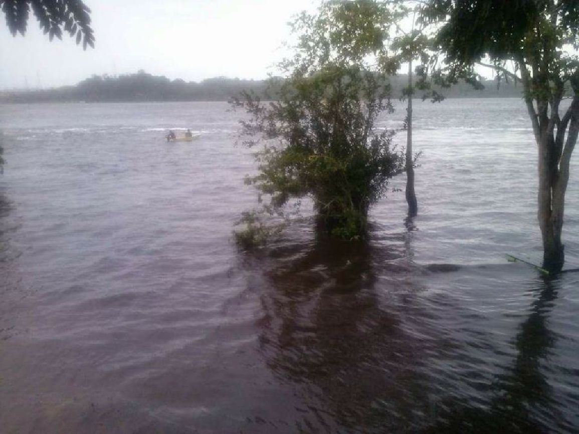 O objetivo apontar as causas da mortandade de peixes no Araguari