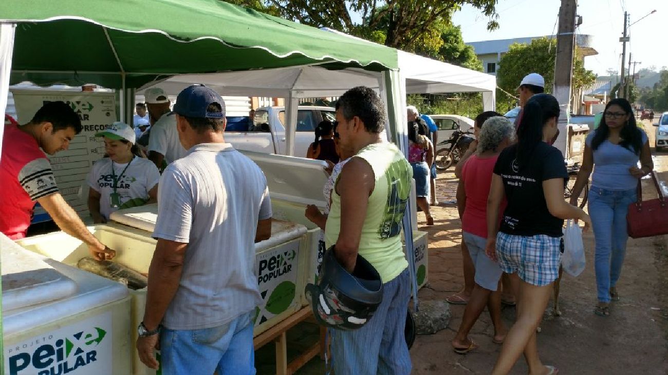 Todo o peixe disponibilizado foi vendido nos três dias de ação.