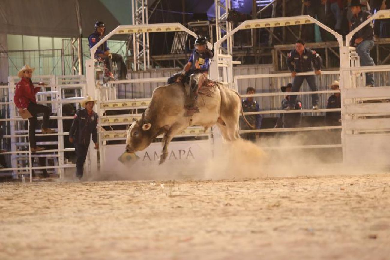 Critérios como postura, tempo e desempenho do animal são avaliados a cada montaria.