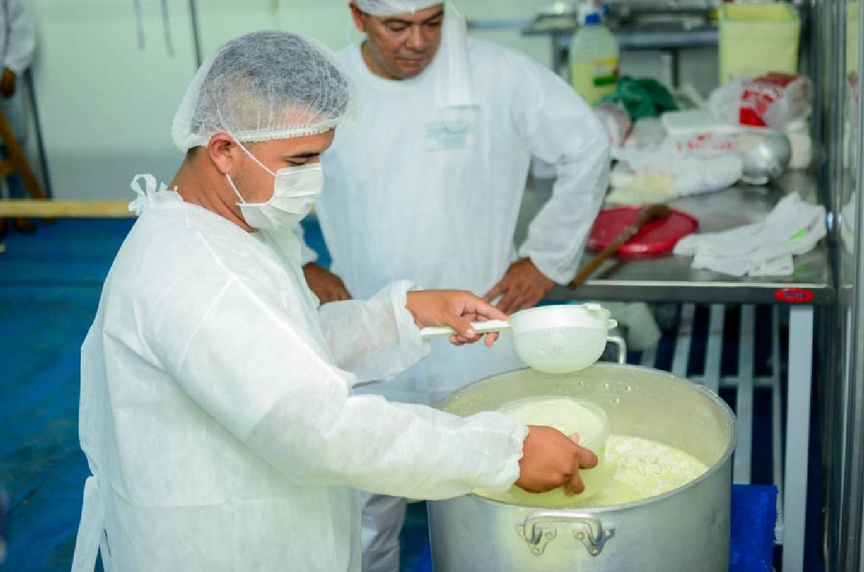 Participantes da oficina aprenderam a forma correta de produzir o queijo a partir do leite da búfala