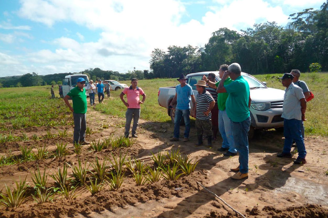A programação será realizada pelo Instituto de Desenvolvimento Rural do Amapá