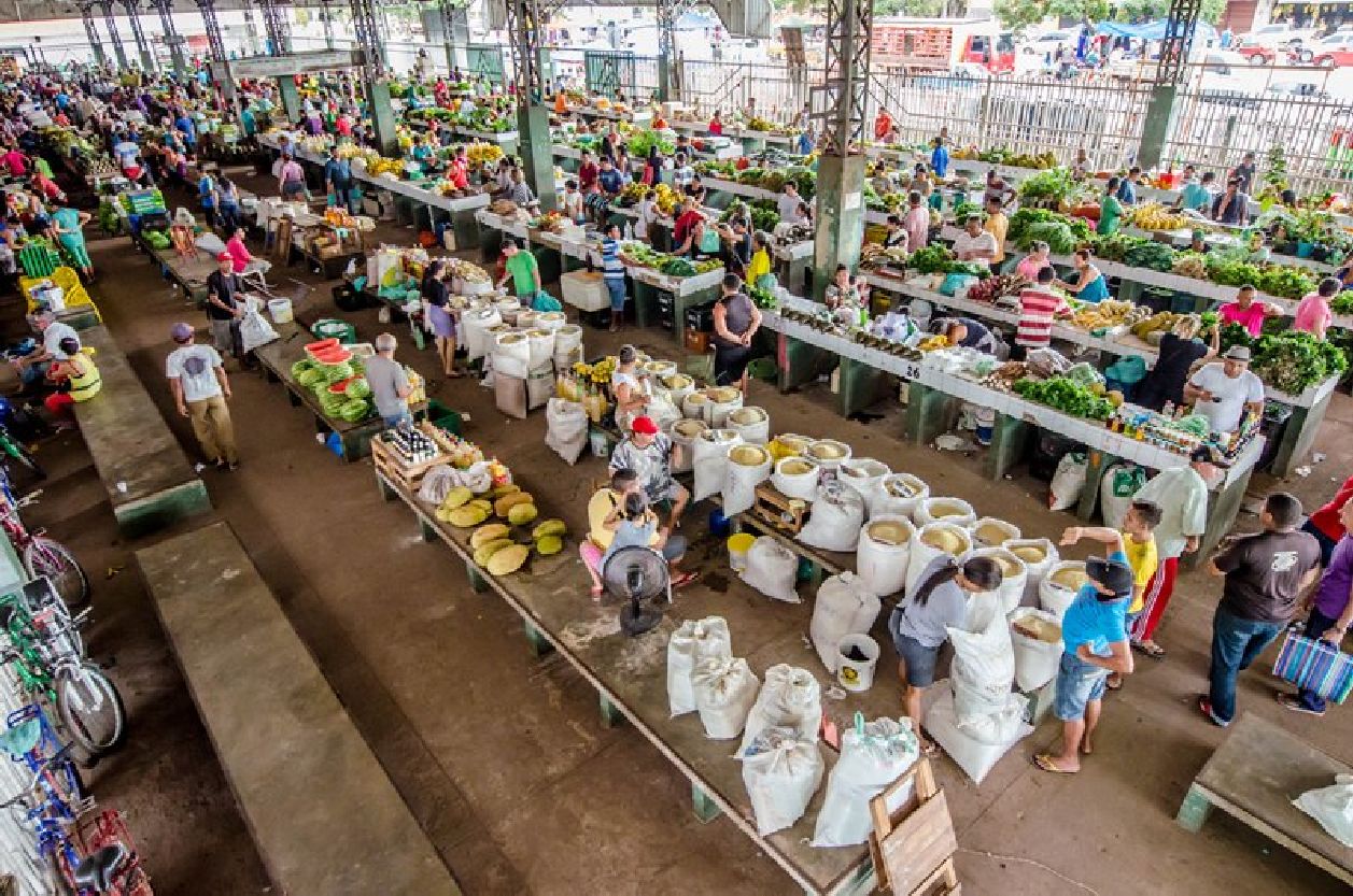O selo será identificado como “Produto do Meio do Mundo – Amapá – Amazônia – Brasil”.