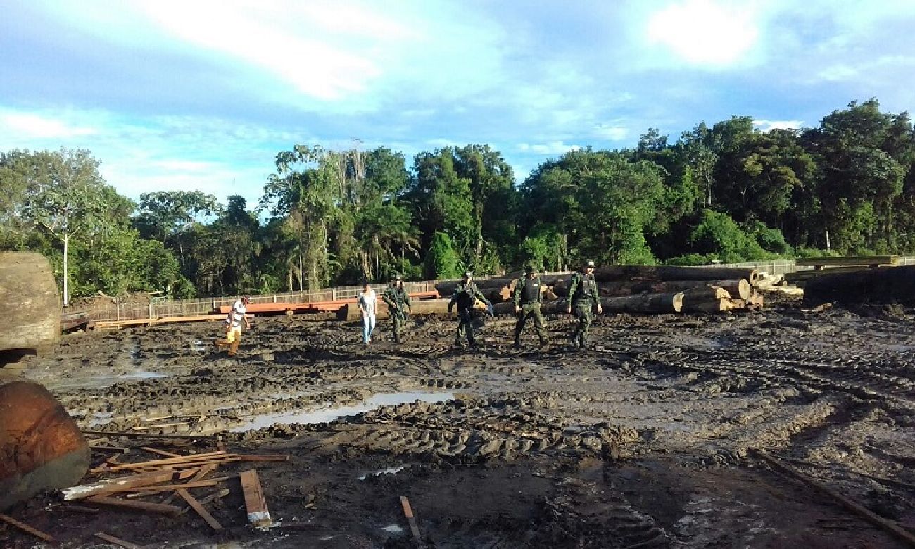 A carga estava sem o Documento de Origem Florestal (DOF)
