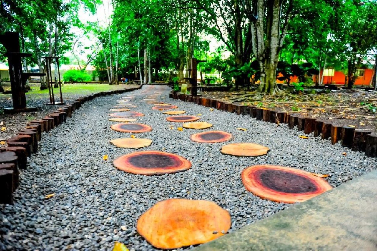 Durante os finais de semana as atividades terão a participação das crianças no Bosque do Açaí