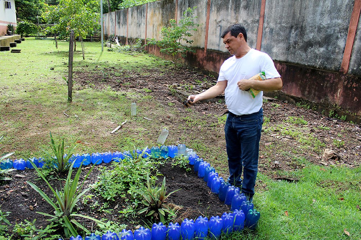 Escolas terão áreas para cultivo de flores, plantas, árvores frutíferas e criação de animais