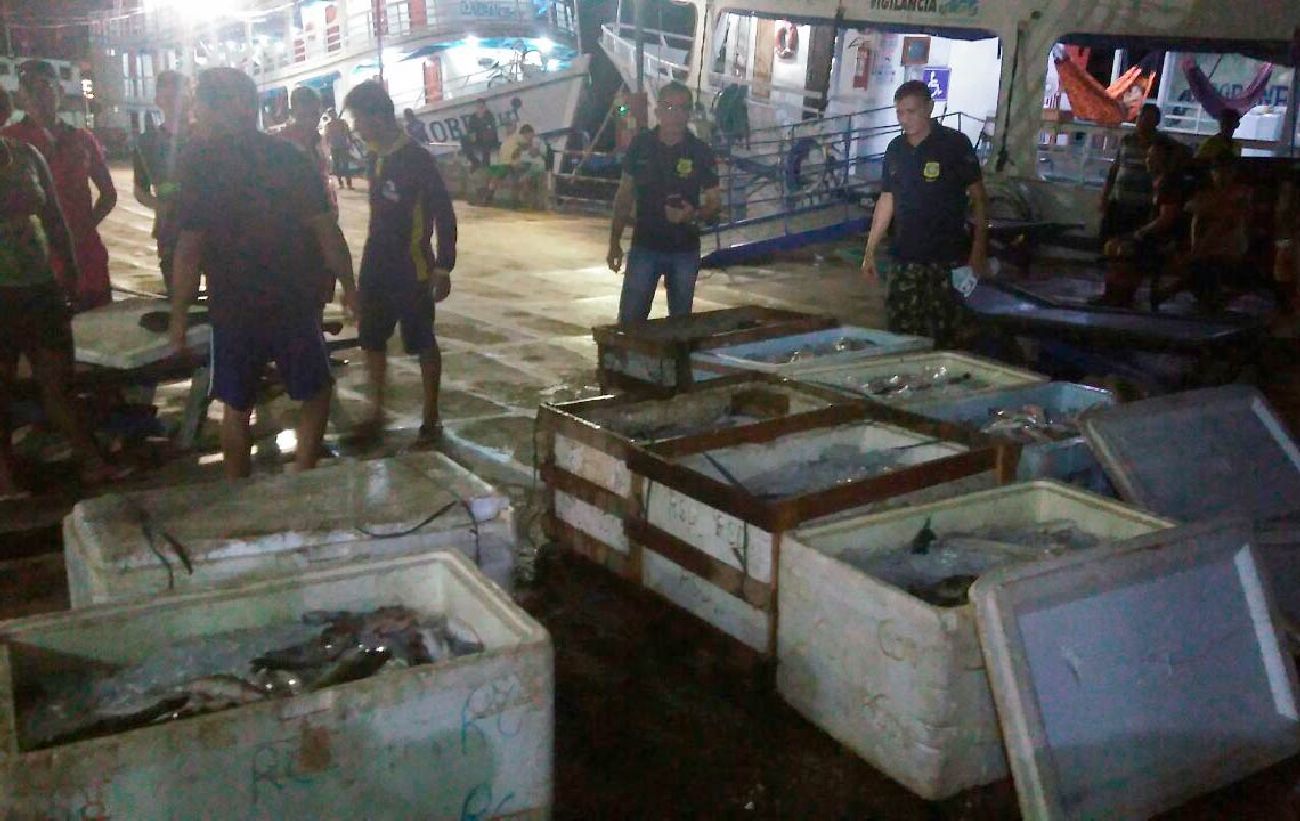 Pescado foi apreendido no Porto do Grego, um dos principais pontos de embarque e desembarque em Santana