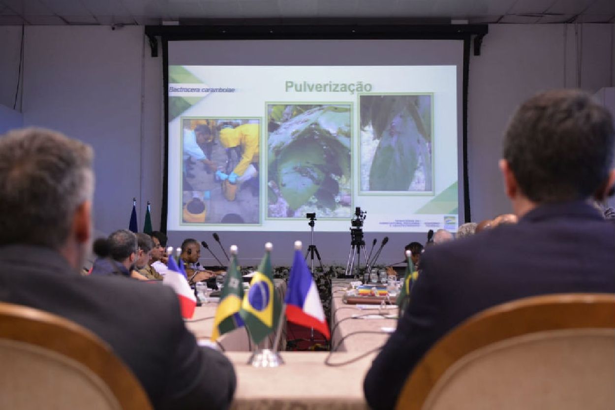 Comitiva brasileira apresentou os trabalhos desenvolvidos para a erradicação da praga