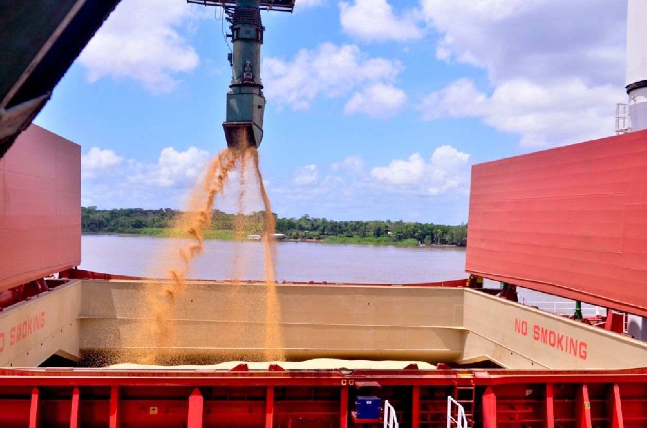 Exportação de soja pelo Porto de Santana: com crescimento de 25%, grão puxou a alta do setor produtivo no Amapá