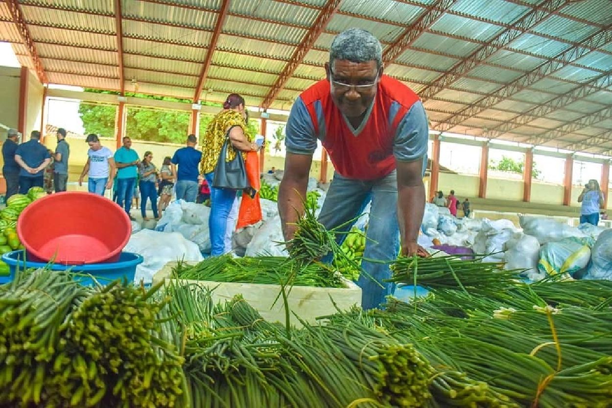Agricultores familiares vendem seus produtos ao Governo, que os alimentos às entidades assistenciais e filantrópicas