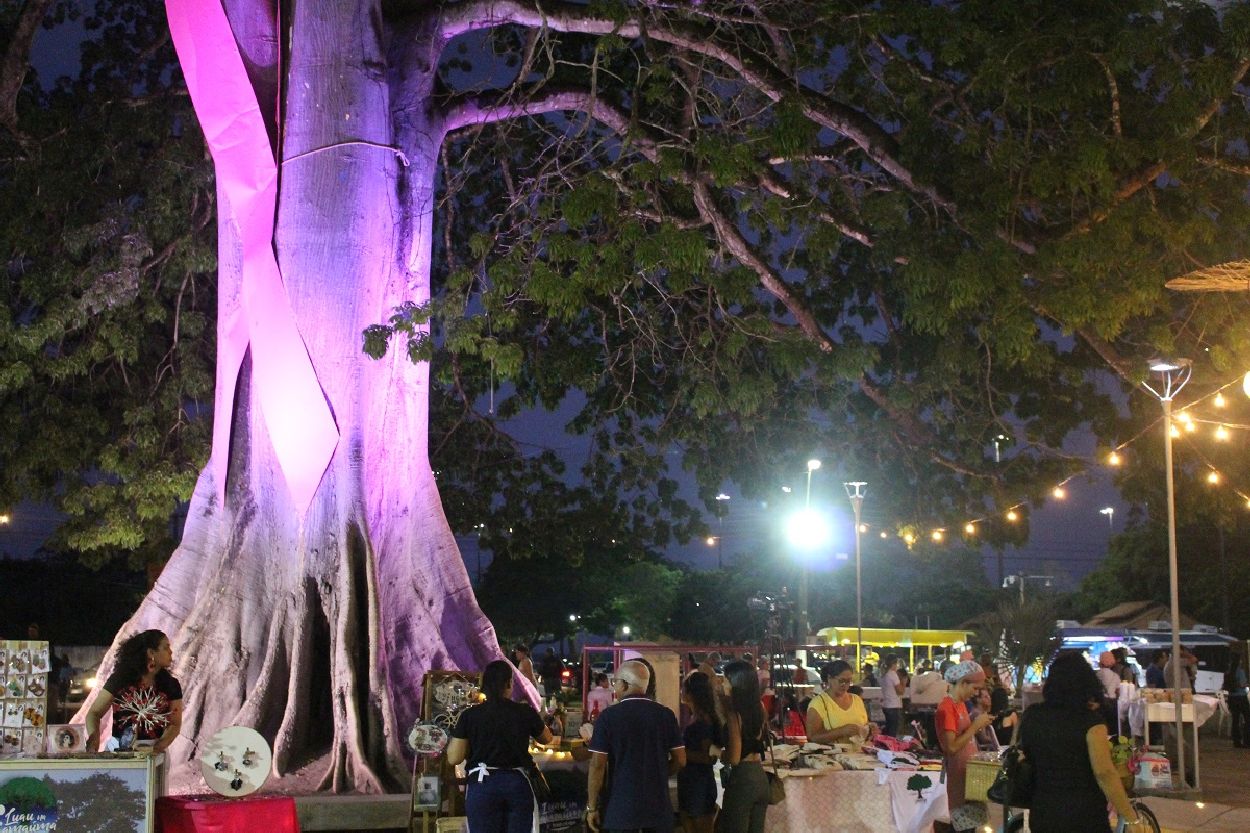 O Luau na Samaúma recebe apoio do Governo do Estado