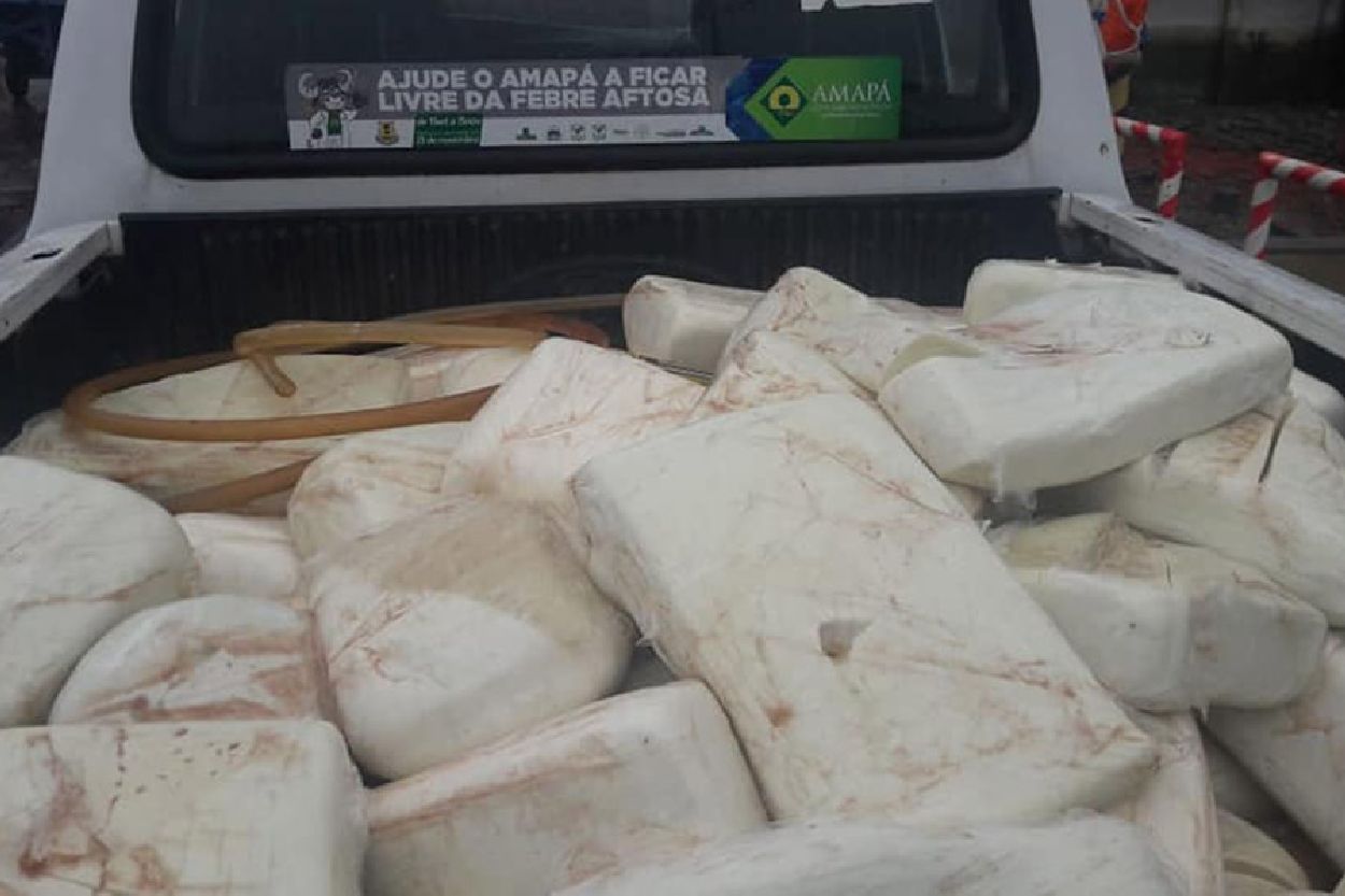 Material apreendido foi levado para o aterro sanitário de Macapá, onde foi incinerado