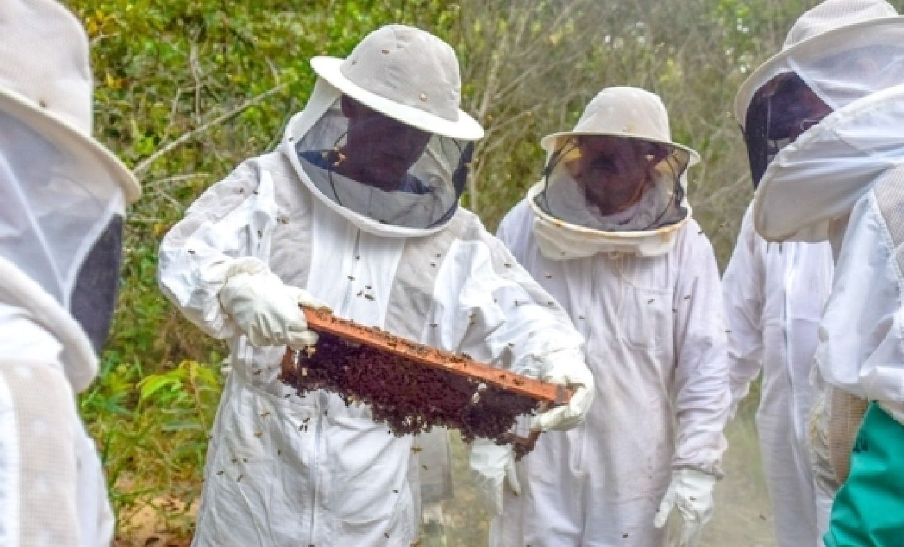 Dez apicultores passaram pela capacitação, que deve ser ofertada em outros municípios do Estado