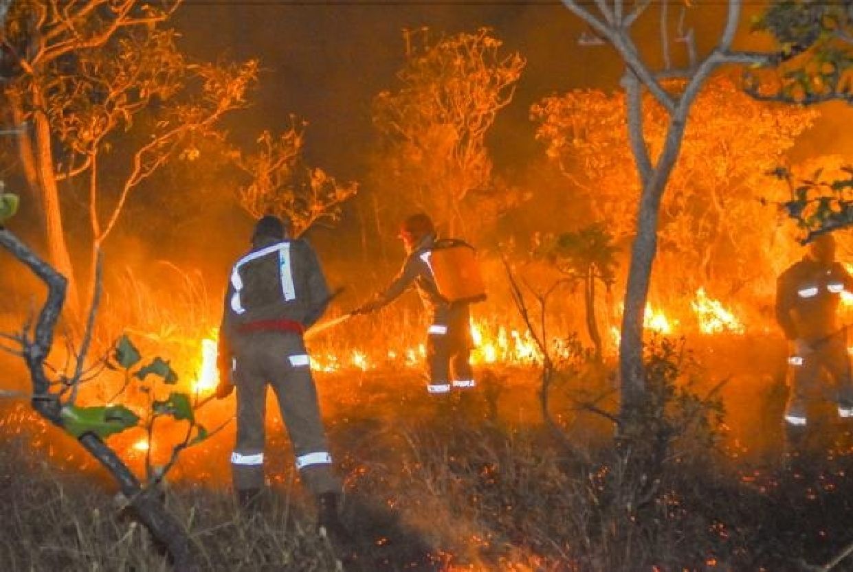 As precipitações acima da média foram um fator importante para a diminuição dos focos de incêndios no estado.