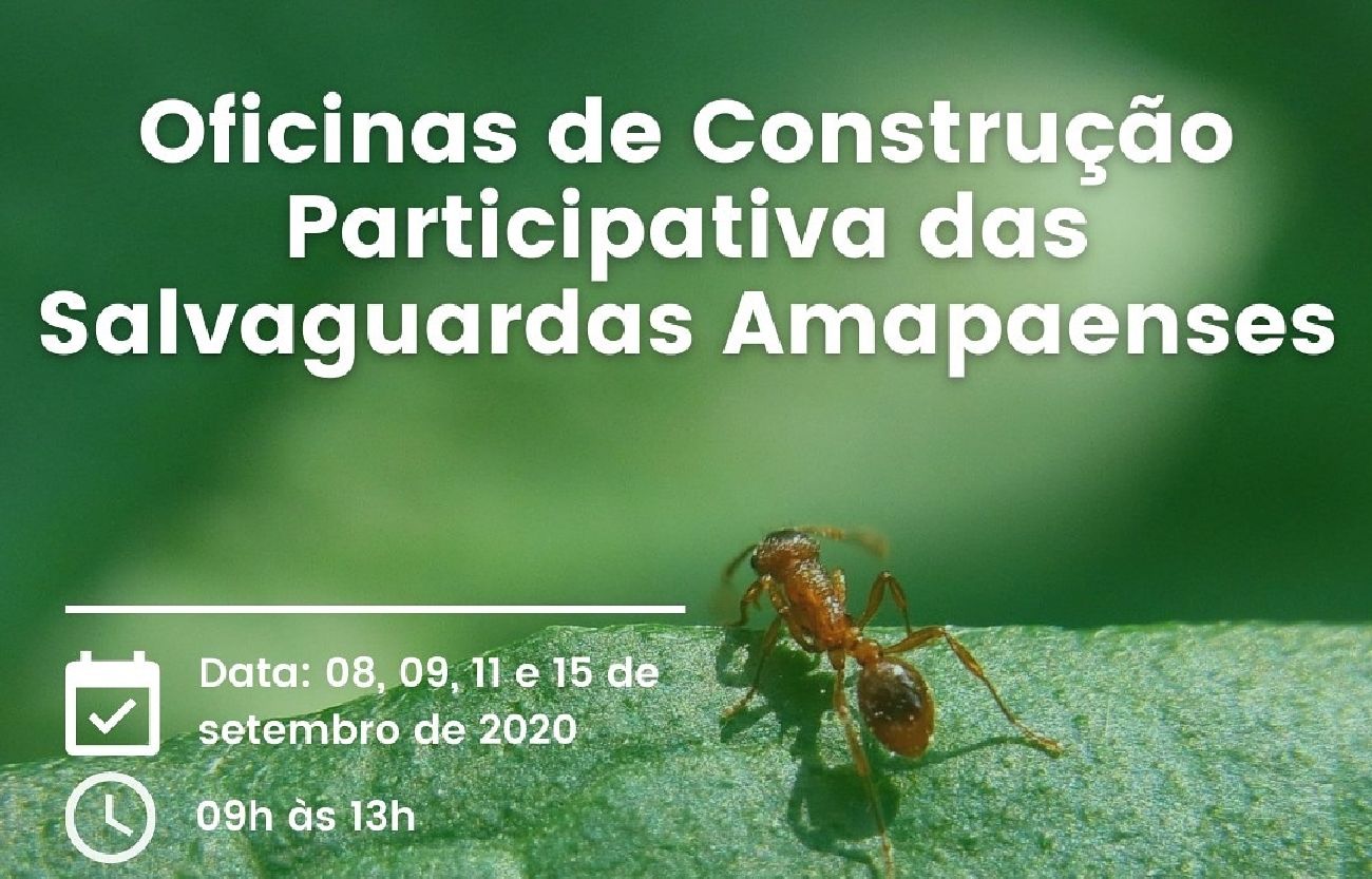 As inscrições podem ser feitas pelo e-mail ccsa@sema.ap.gov.br.