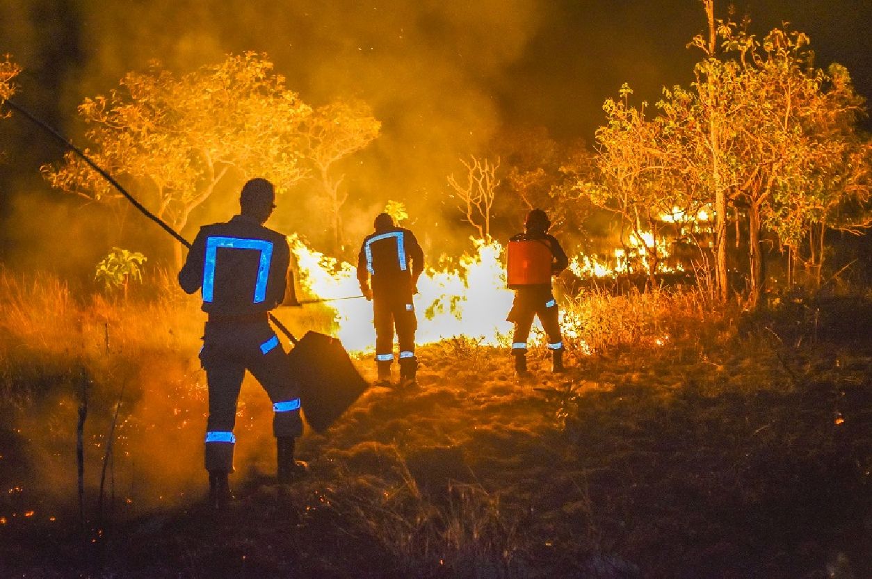 Bombeiros combatem focos de incêndio no município de Tartarugalzinho, durante ações em 2019. Este ano ações terão reforço
