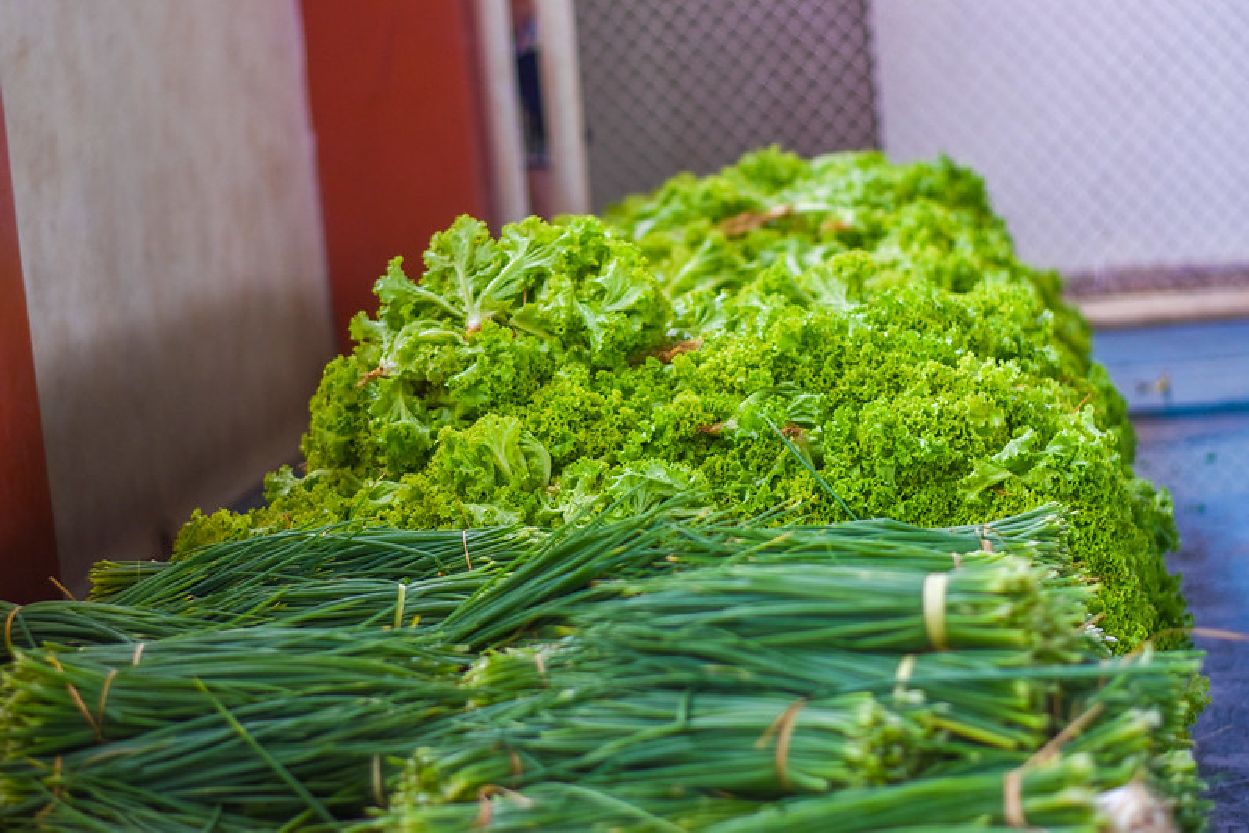 Produtos da agricultura da familiar são alvo do Programa de Aquisição de Alimentos (PAA)